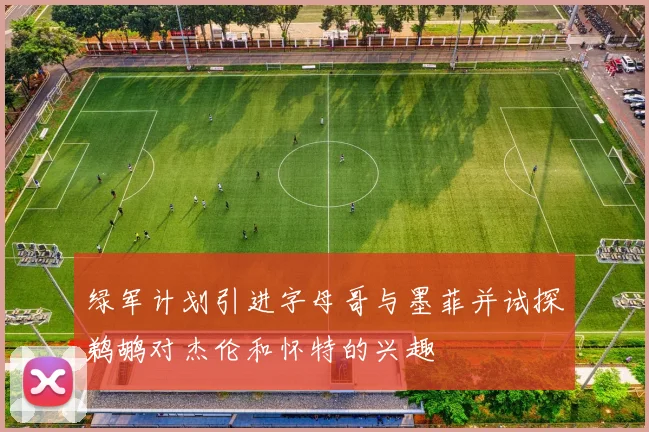 绿军计划引进字母哥与墨菲并试探鹈鹕对杰伦和怀特的兴趣
