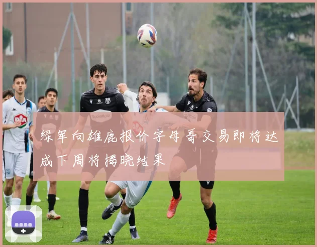 绿军向雄鹿报价字母哥交易即将达成下周将揭晓结果