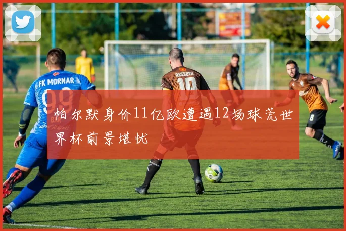 帕尔默身价11亿欧遭遇12场球荒世界杯前景堪忧