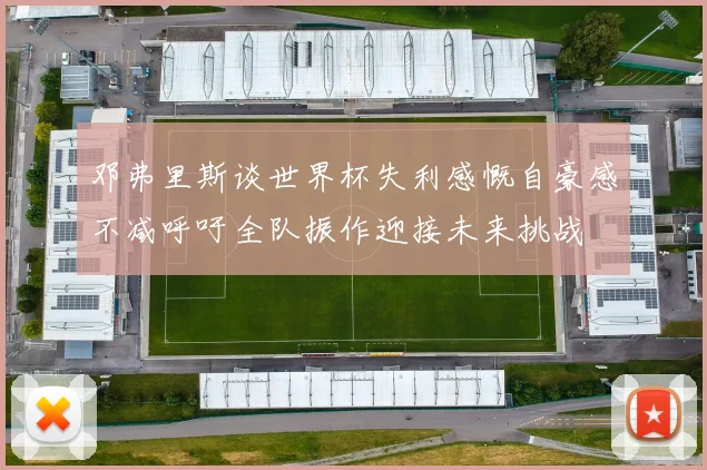 邓弗里斯谈世界杯失利感慨自豪感不减呼吁全队振作迎接未来挑战