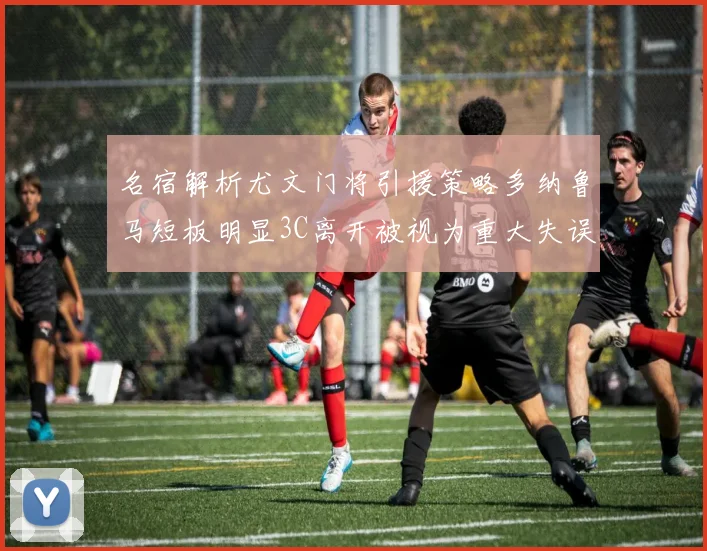 名宿解析尤文门将引援策略多纳鲁马短板明显3C离开被视为重大失误